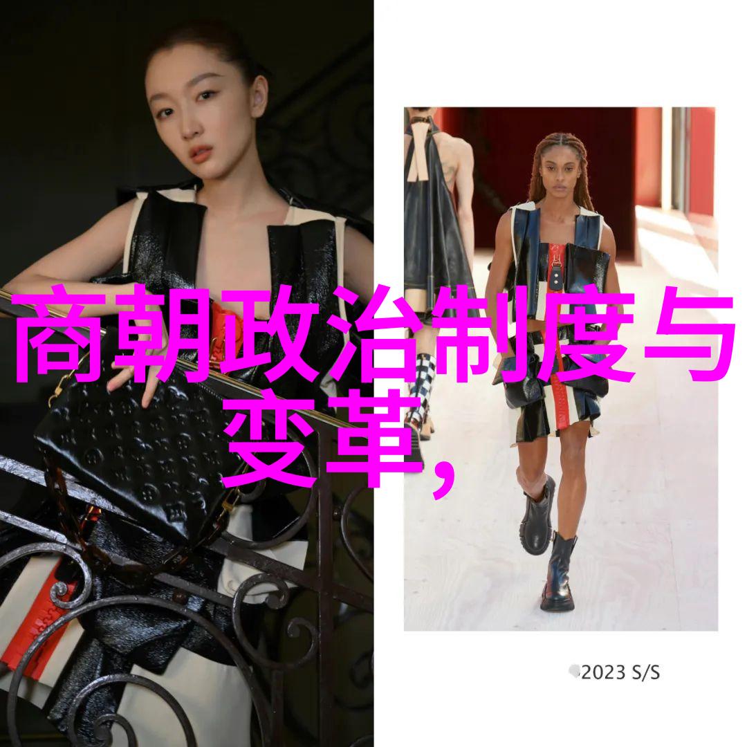 明朝英杰录权谋智慧与治国能力的考量