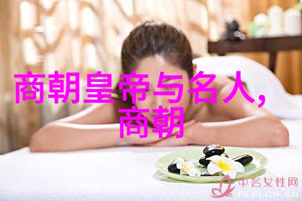 宋代史料探究揭秘中世纪中国的政治经济与文化变迁