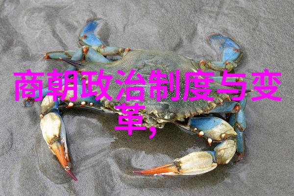 大明梦回朱允熞的孤影