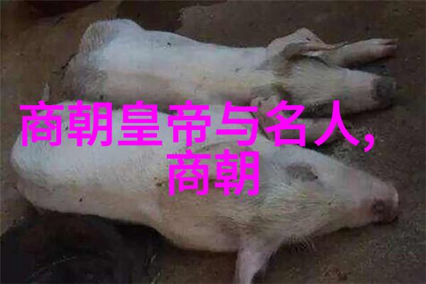 中国近代史的人物故事辛亥革命中的五大英雄