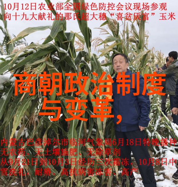 龙椅之下权力的秘密史话