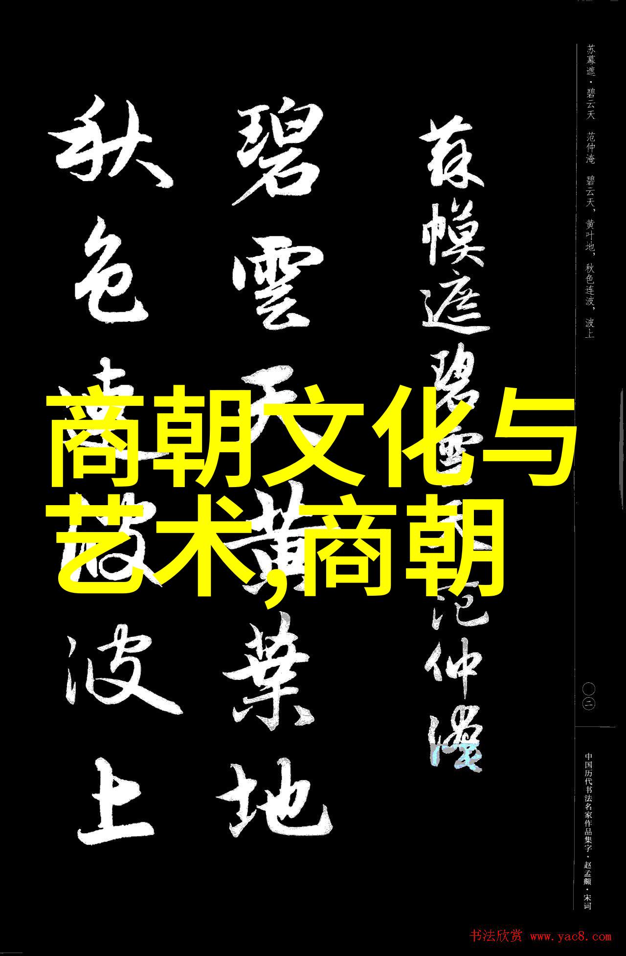 春日漫步探寻花开之美的行走艺术