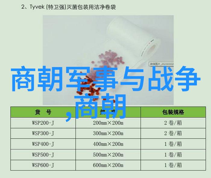 明朝历史探秘揭开光辉与沉浮的神秘面纱