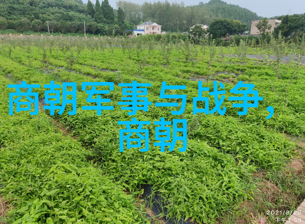 京剧白毛女中的张雅君一位对京剧情有独钟的票友