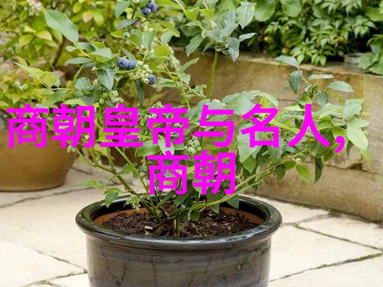 明朝最繁华的几年时期-盛世煌辉明朝鼎盛时期的繁华与辉煌