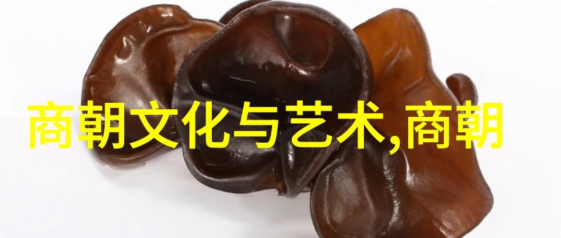 情深似海一部揭示人性的复杂心理与爱情的深度探索