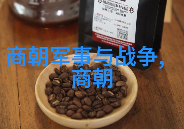 明朝 列表排名表及关系-明代皇帝继承顺序与权力交接的历史变迁