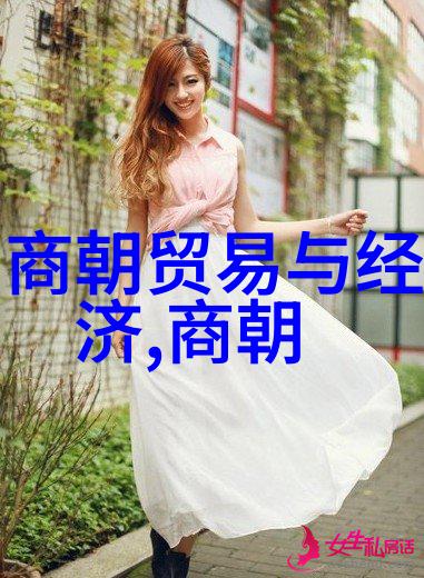 明朝历史探秘解锁古代辉煌视频体验