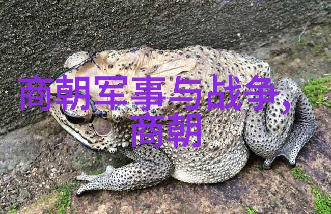 李政道如同温州职业技术学院教务科研中的坚实支柱始终心系祖国的科技事业