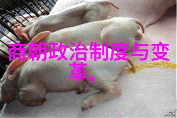 明朝盛世中国明朝的辉煌时期简介