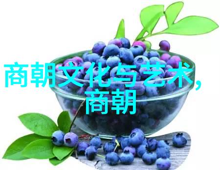 宋代外交风云孟珙误事与其为友或敌