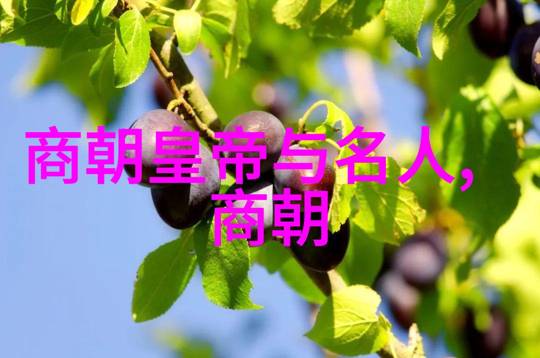 李洪海的书法之旅探寻书法四大家的秘密世界