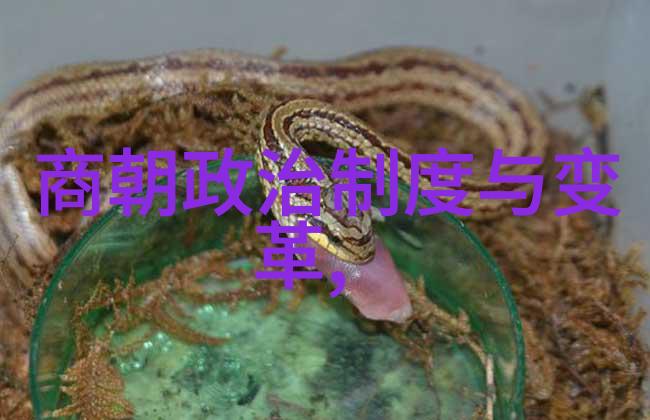 王子遇上王我亲眼见证了历史的奇迹王者相遇一个平凡人的传奇
