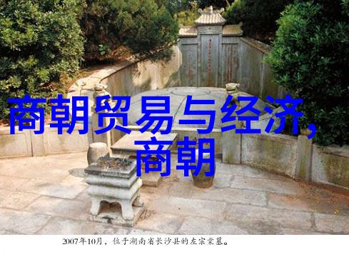 中华民族伟大复兴的征程上行驶的火车历史与梦想并行