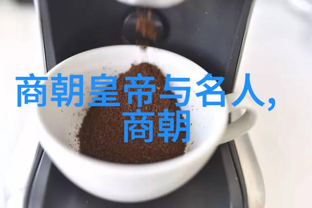 在历史上其他皇帝遇到的类似情况中有哪些可能引发他们早逝的原因