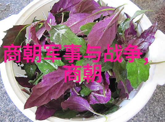 赵幼斌徭役中的天赋之才