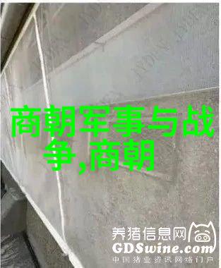 南宋覆灭的悲歌元朝征服之路
