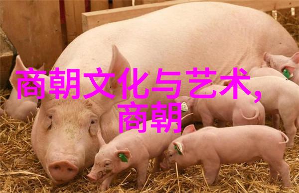 历史上的遗憾为何唐朝不该终结