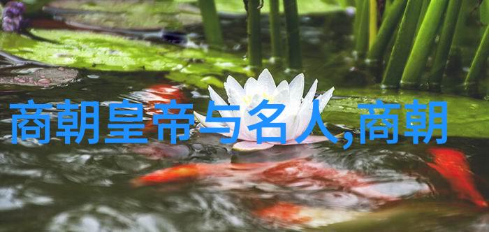 明代帝王年谱历代君主生辰与在位年龄的轨迹