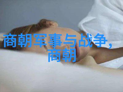 明末英雄谱抗清十大将领的光辉篇章