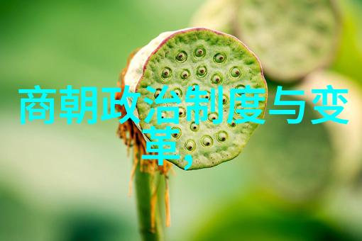 迷雾中的古今十大悬案揭秘明朝奇缘