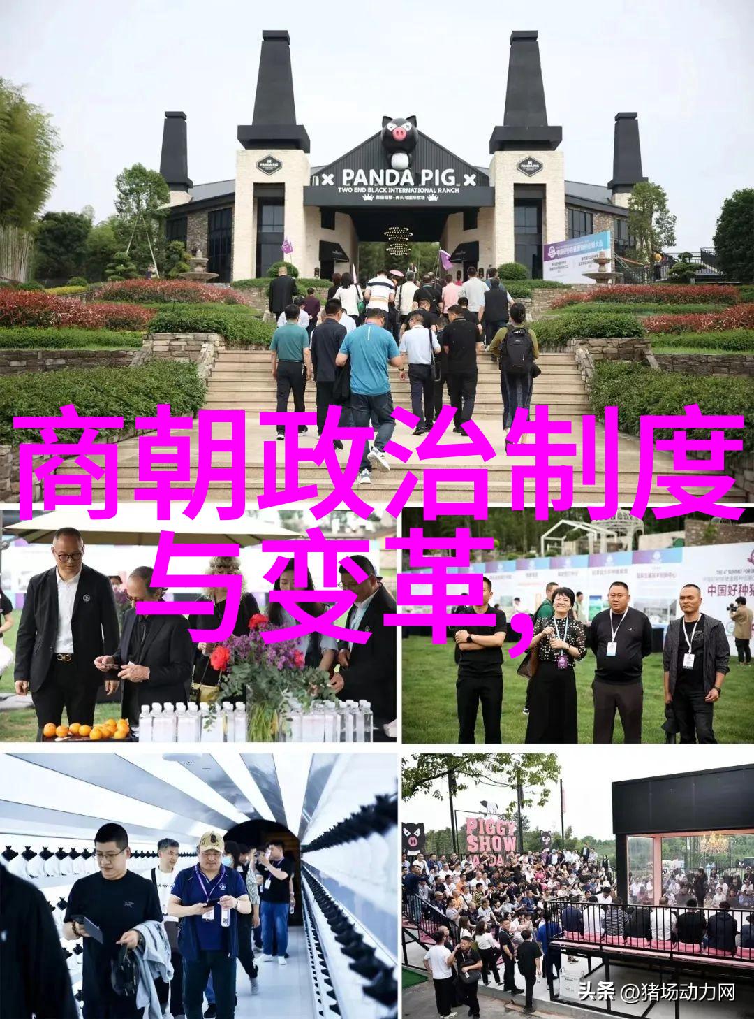 黄梅戏天仙配许桂枝的传奇演绎