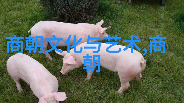 元朝美女元代女性的魅力与风采