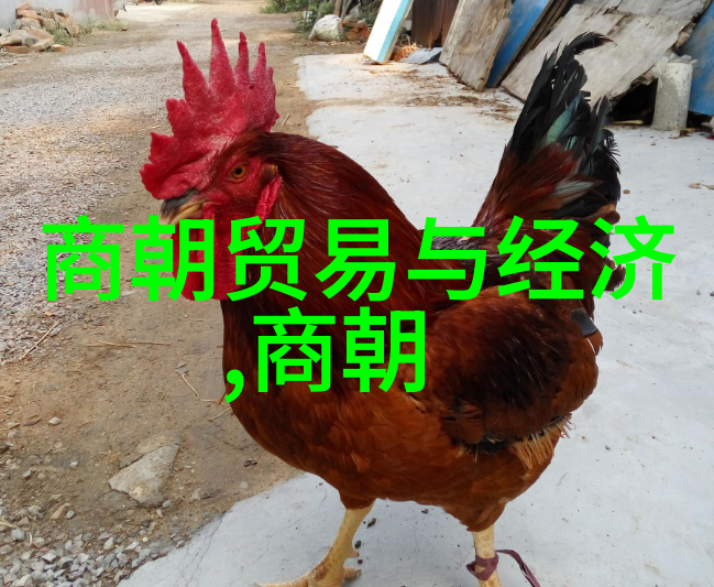 朱瞻基短命的原因探究历史人物生存条件分析