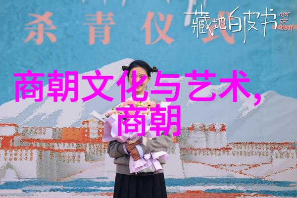 宋朝之光专家们为何热衷于探讨这个历史时期