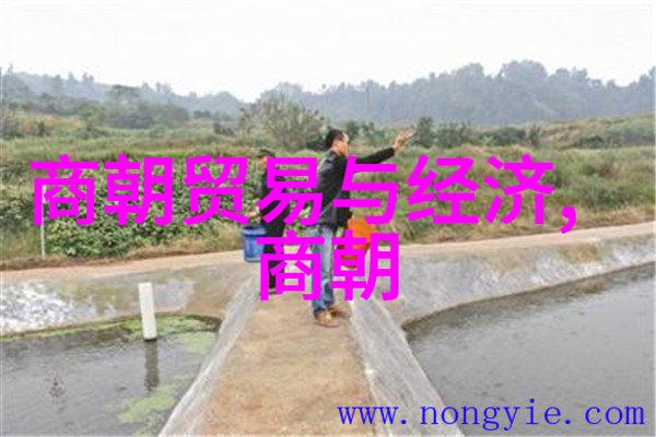 樊粹庭的朝阳沟下山一场自然之美的豫剧盛宴
