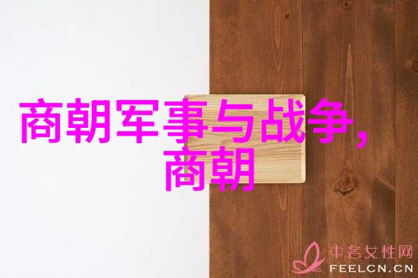 霍元甲战略网的数据驱动者