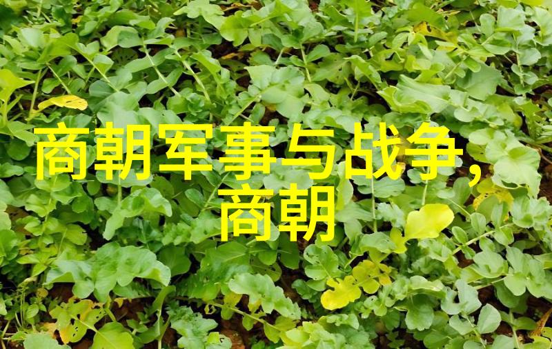 东周朝历代风云人物完颜珣1163年至1224年1月14日的传奇者
