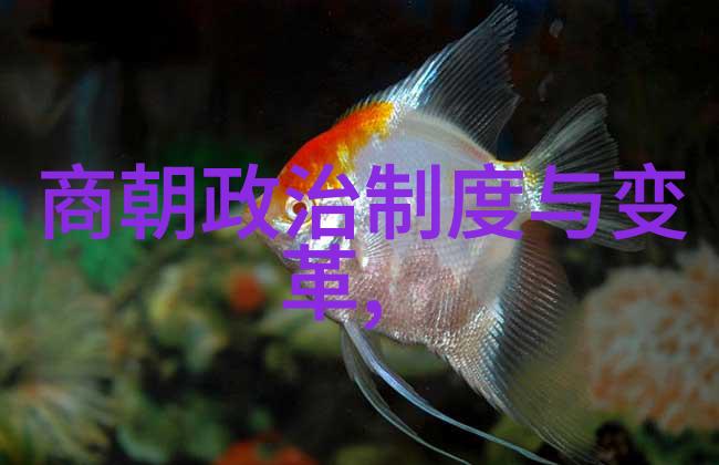 庾天锡中国国学的典范之选