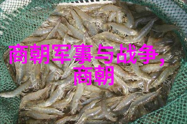 社会结构变迁经济社会制度发展对历届朝廷的影响