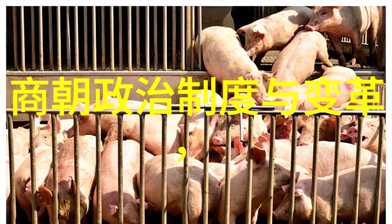 明朝那些事儿的作者我是如何穿梭时空的从笔下到历史的奇妙旅程