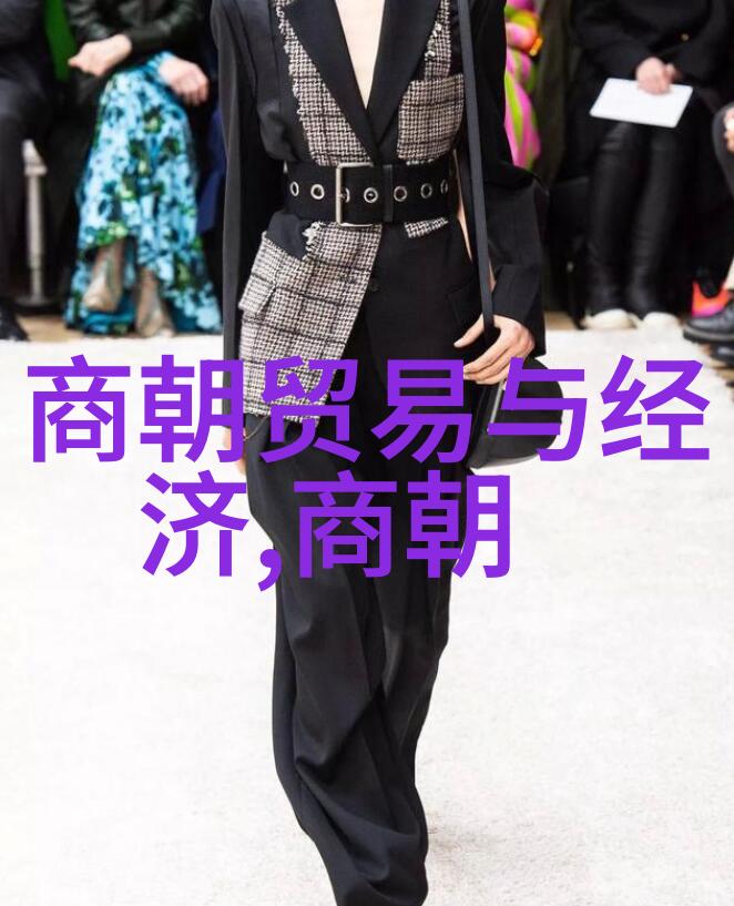 明末清初帝国覆灭背后的明君子孙何去何从