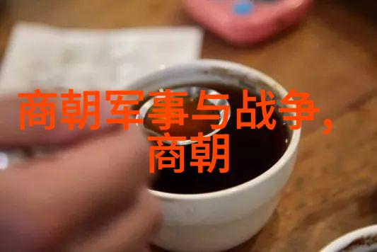 北周隋朝雄霸中原的帝国重塑