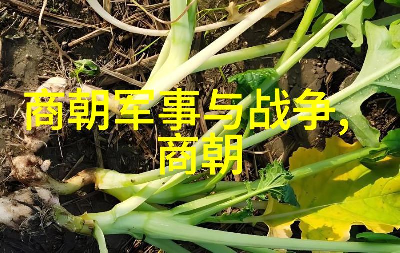 明朝中期王室内斗这些宫廷斗争对国家有什么影响