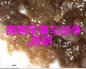 明朝-明朝到底有多强大盛世的巅峰与衰败的征程