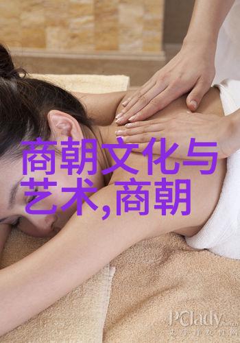宋江与方腊南宋初年边疆的叛乱与镇压