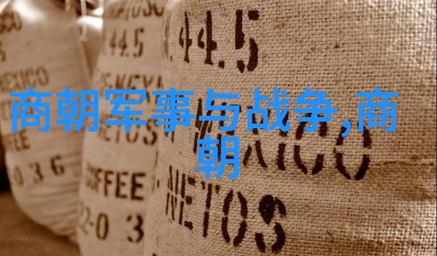 南宋的孤鸿与北元的雄鹰两国之间的遥远呼唤