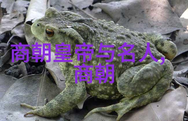 神话传说中的古老篇章龙的守护与人类的智慧