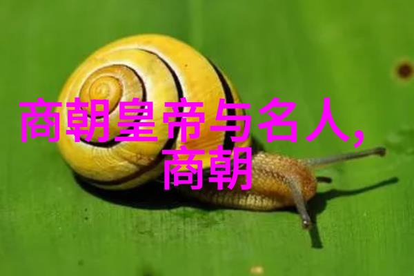 纹章岁月明朝百姓衣影集