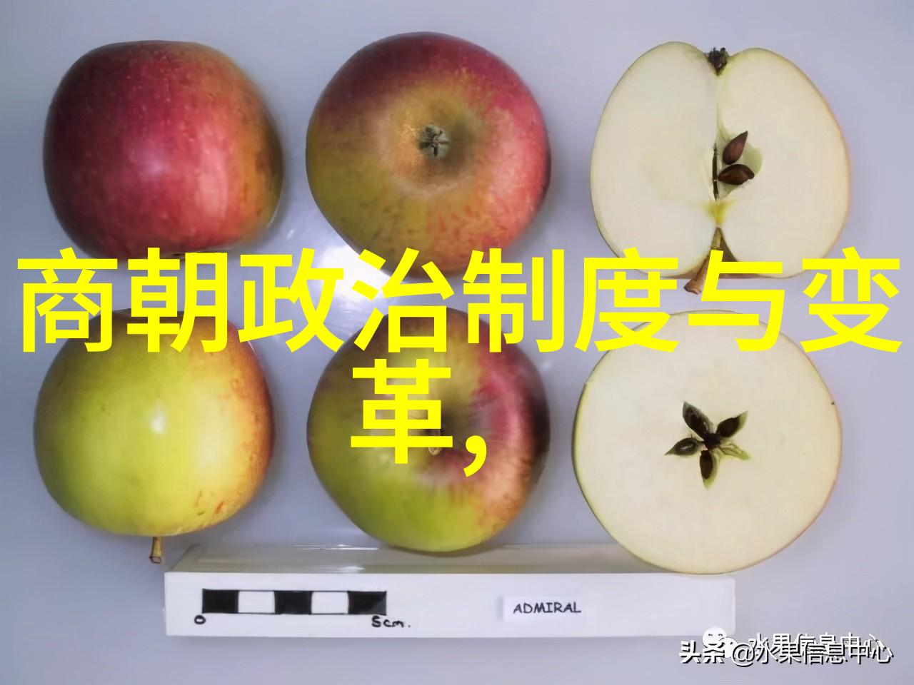 深入考察比起传说中的夏商周这些前辈们又是如何治理国家的