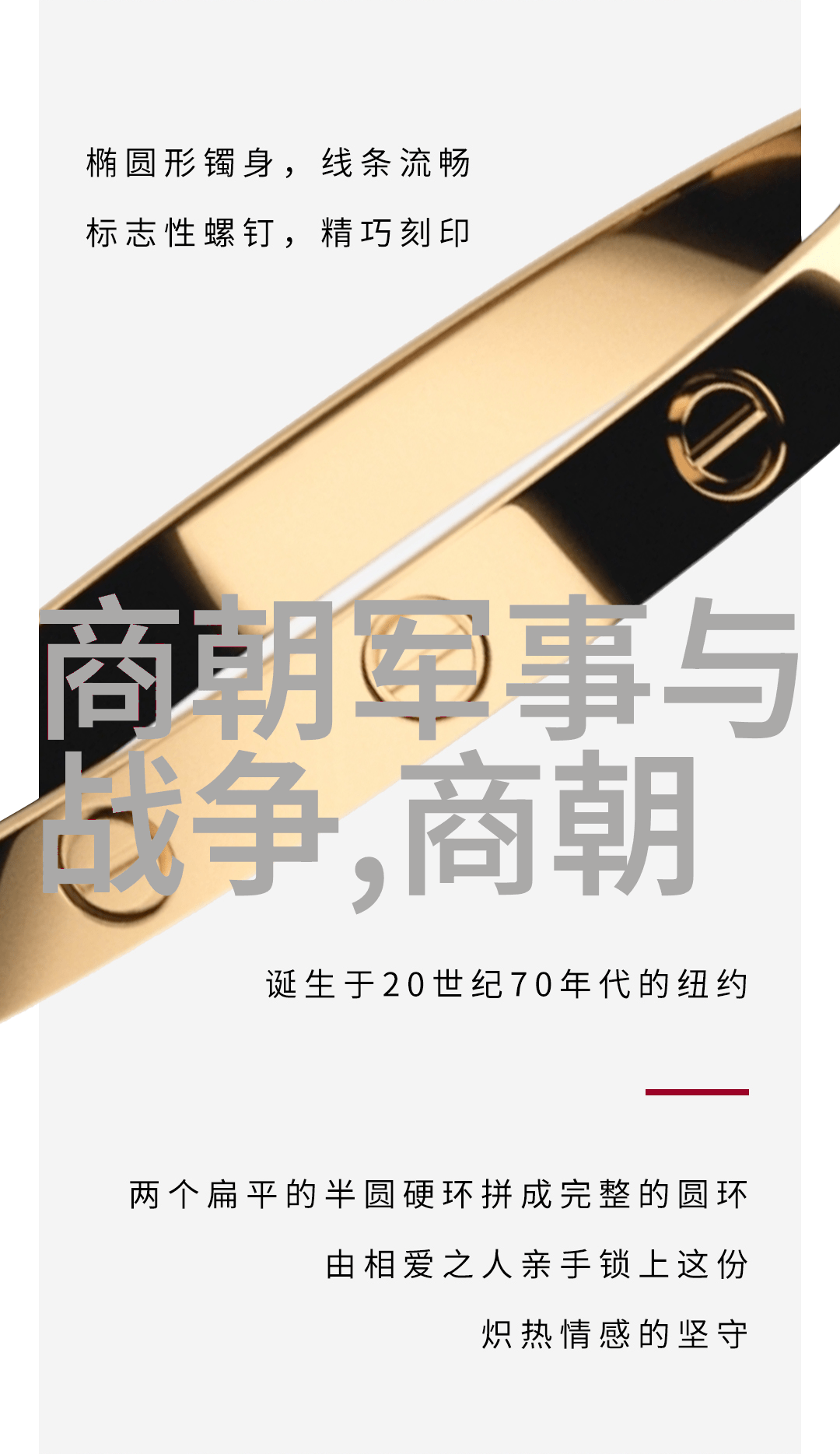 书香文化下的政务履历副厅级干部门内外交织的文学世界观
