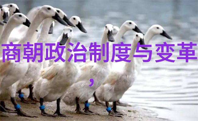 元朝的文化遗产有哪些值得我们铭记