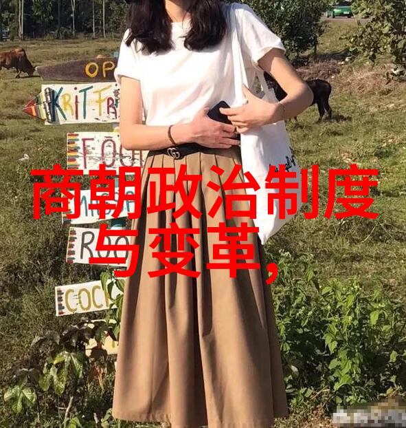 隋朝的创立者杨坚的崛起与帝国重塑