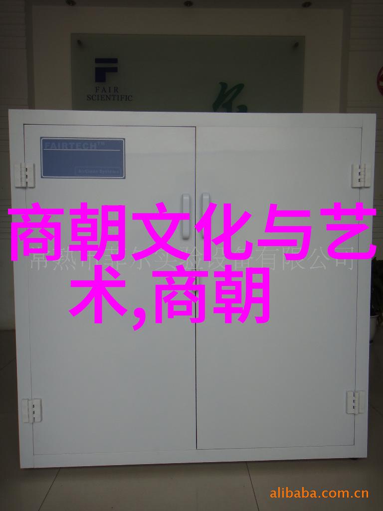 清朝与明朝的比较科技经济与文化发展对比考量