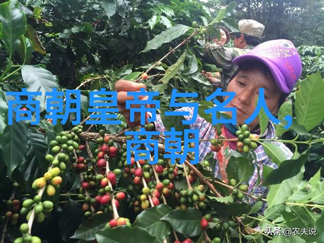 十二生肖守护神唐家三少-星辰与命运唐家三少的生肖守护之旅