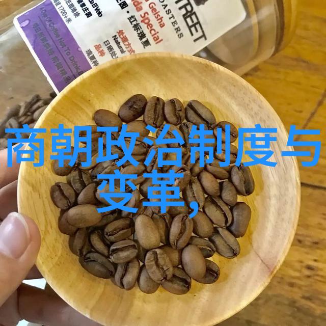 明君新朝朱元璋的治国英杰